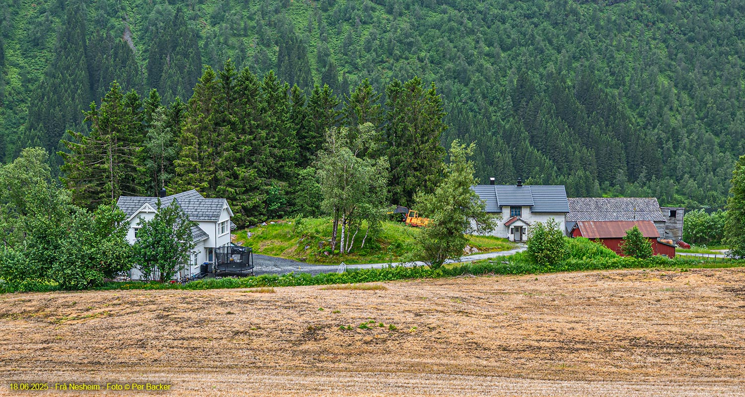Frå Nesheim