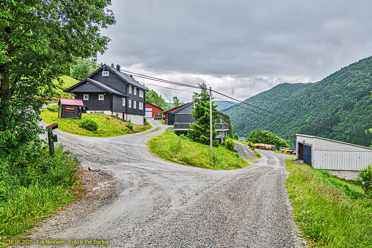 Frå Nesheim