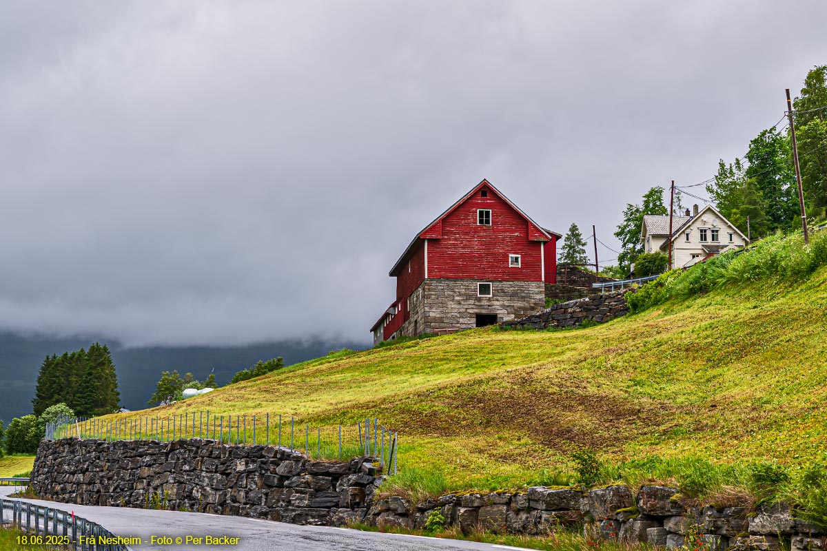 Frå Nesheim