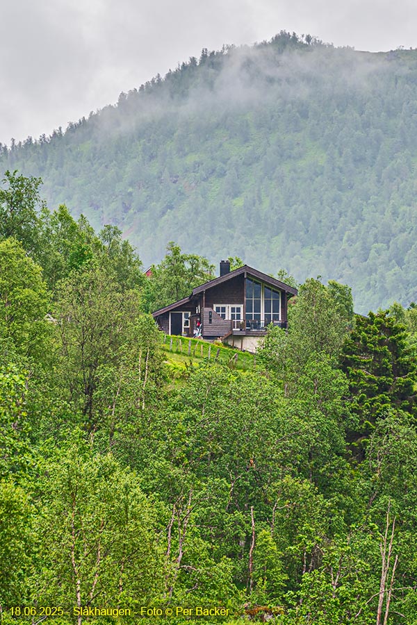 Slåkhaugen