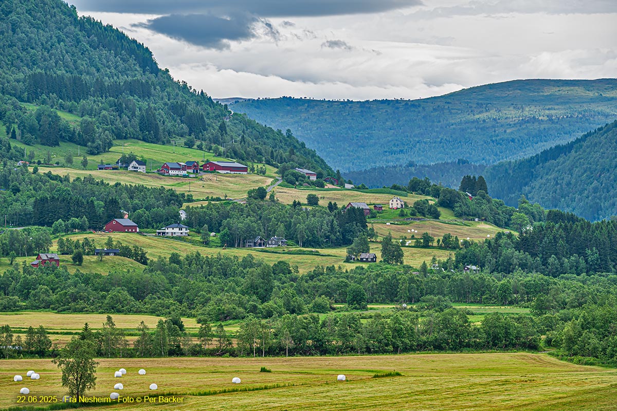 Frå Nesheim
