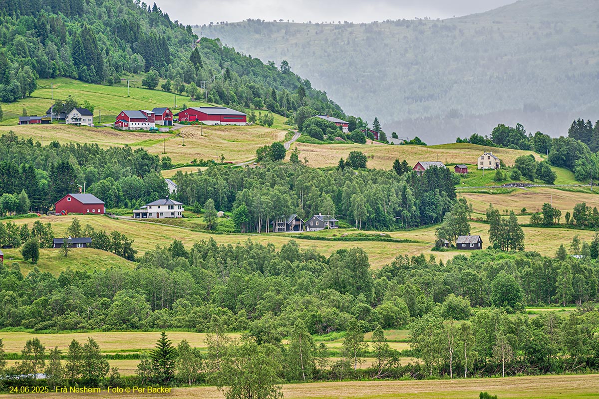 Frå Nesheim
