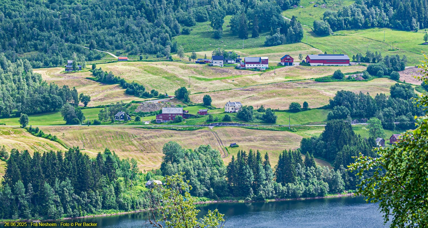Frå Nesheim