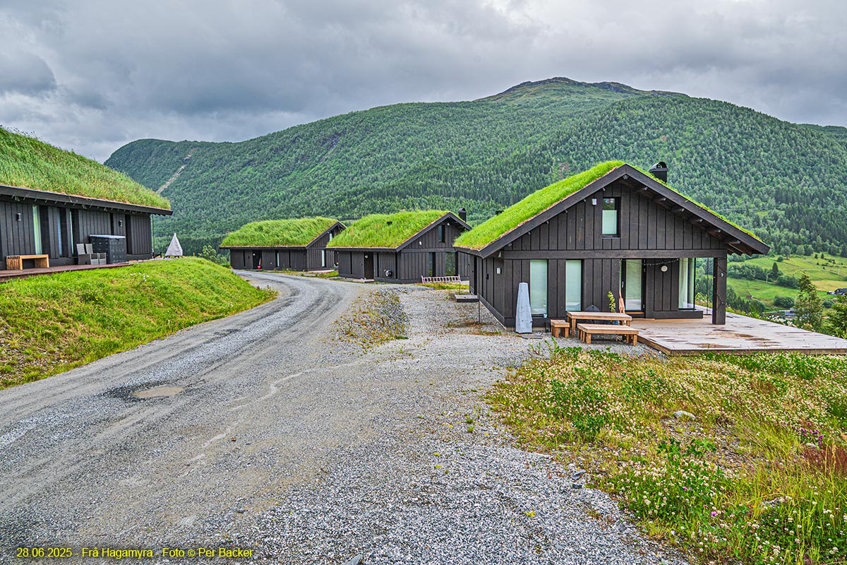Frå Hagamyra