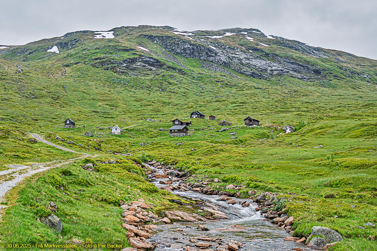Frå Mørkvesstølen