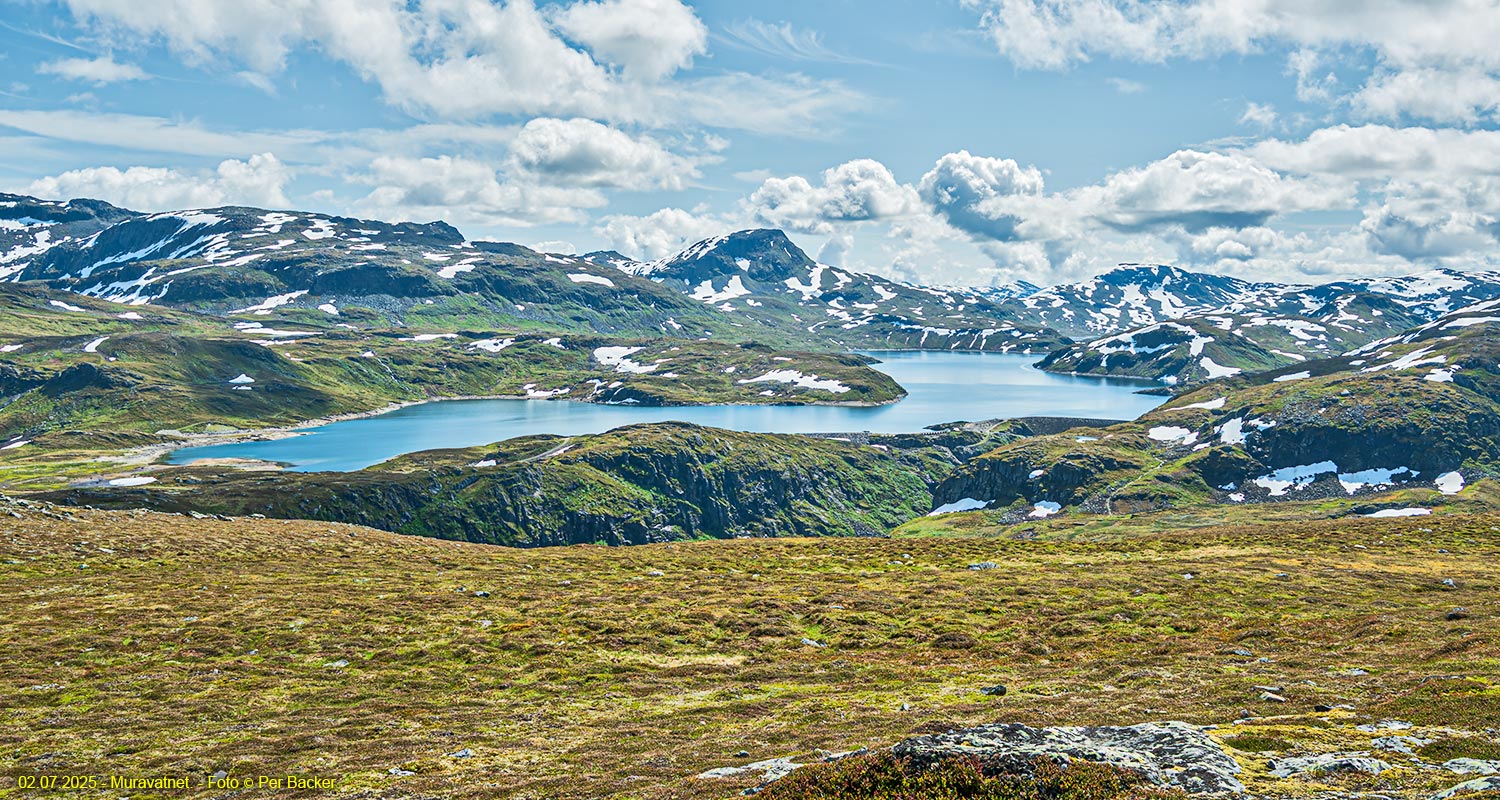 Muravatnet