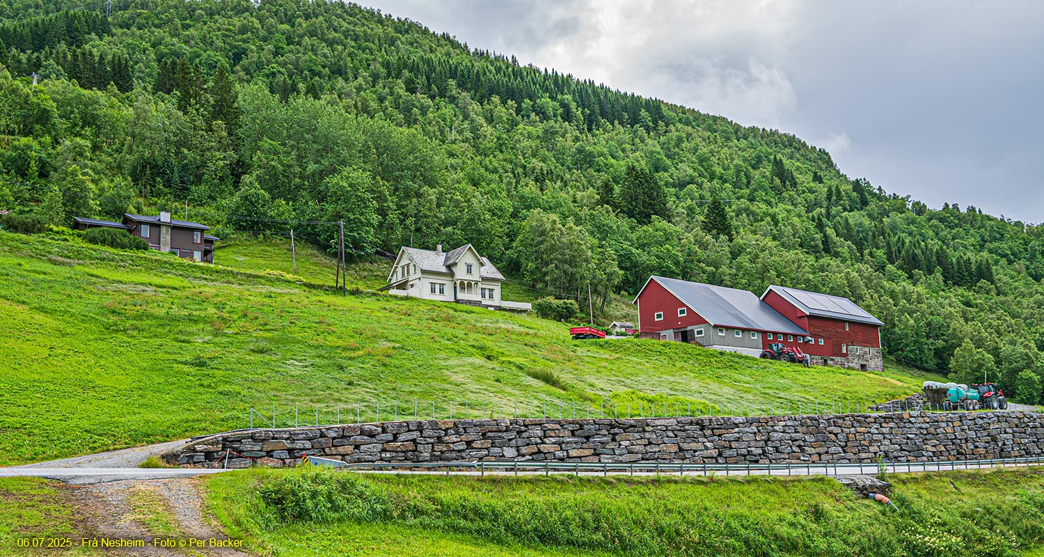 Frå Nesheim