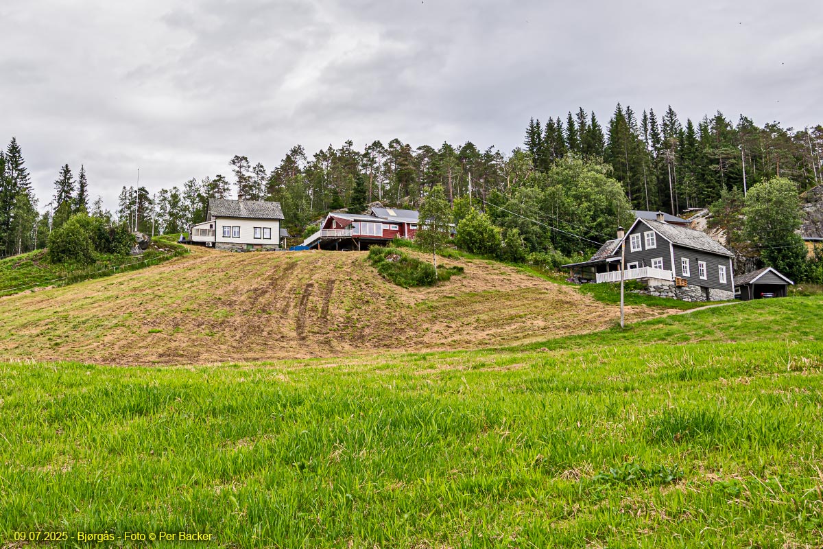 Bjørgås