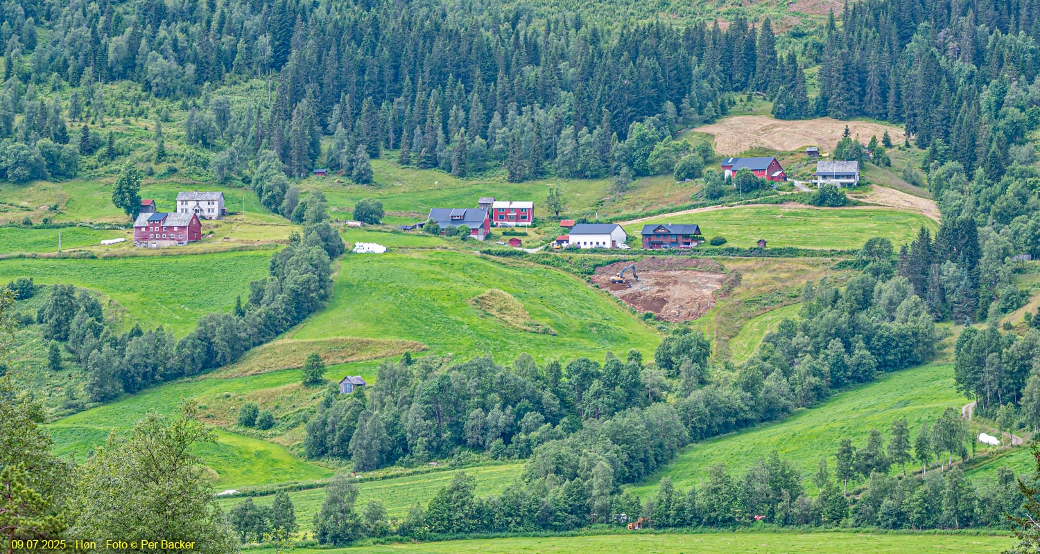 Høn