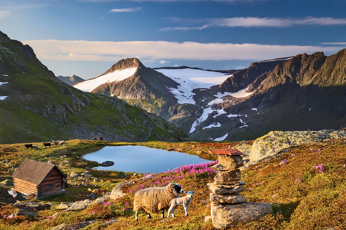 Fjellmotiv (KI)