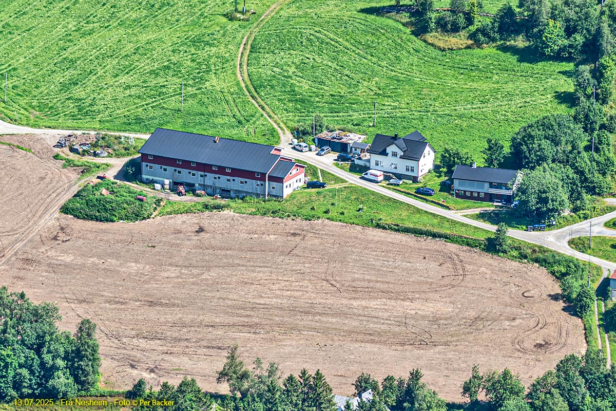 Frå Nesheim