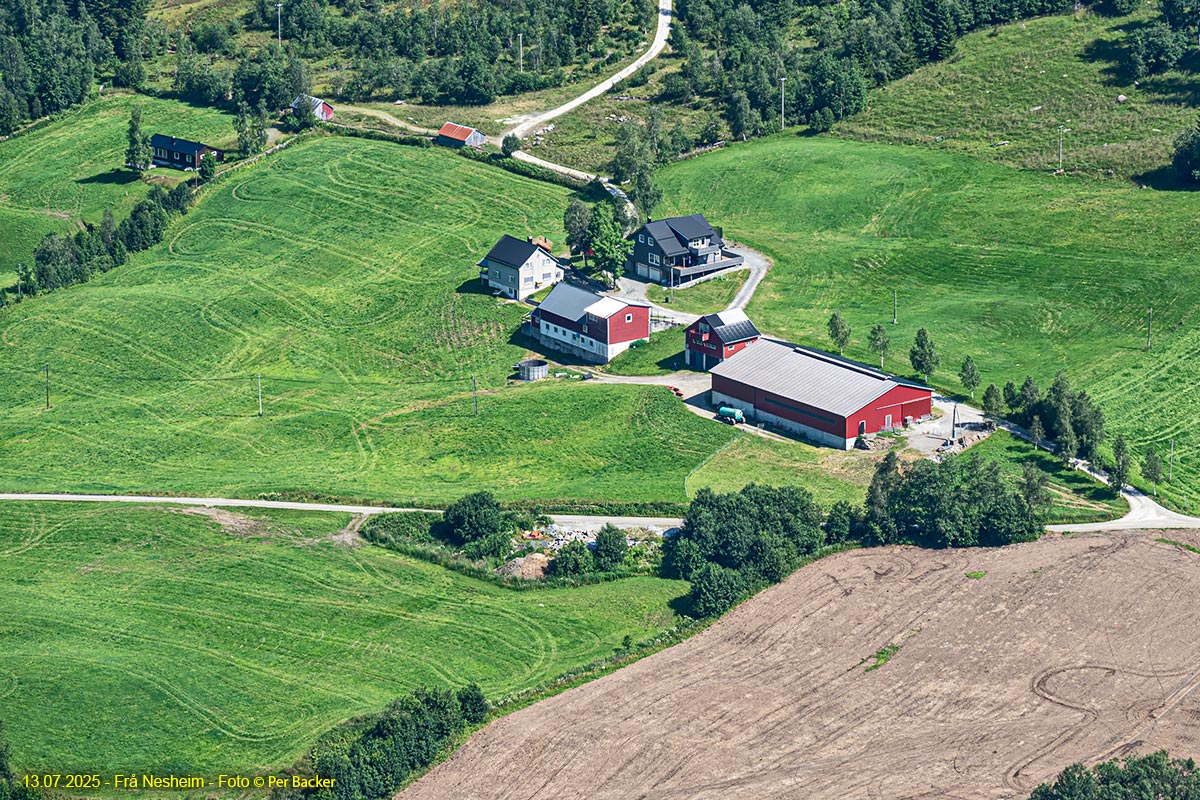Frå Nesheim