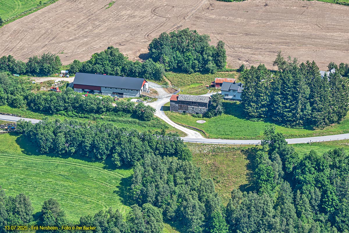 Frå Nesheim
