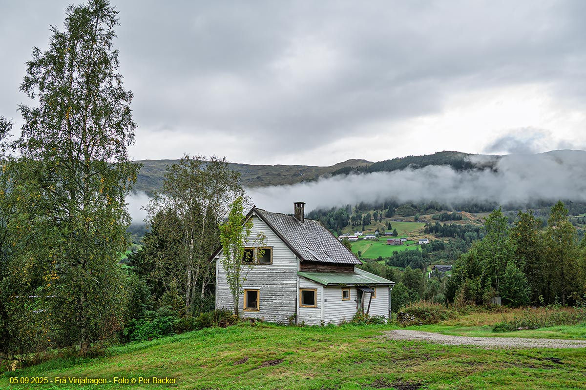 Vinjahagen