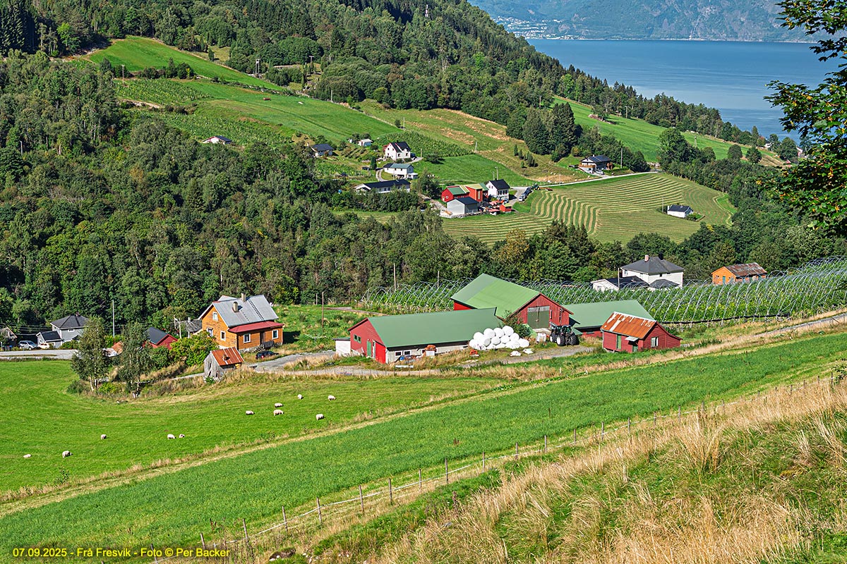 Frå Fresvik