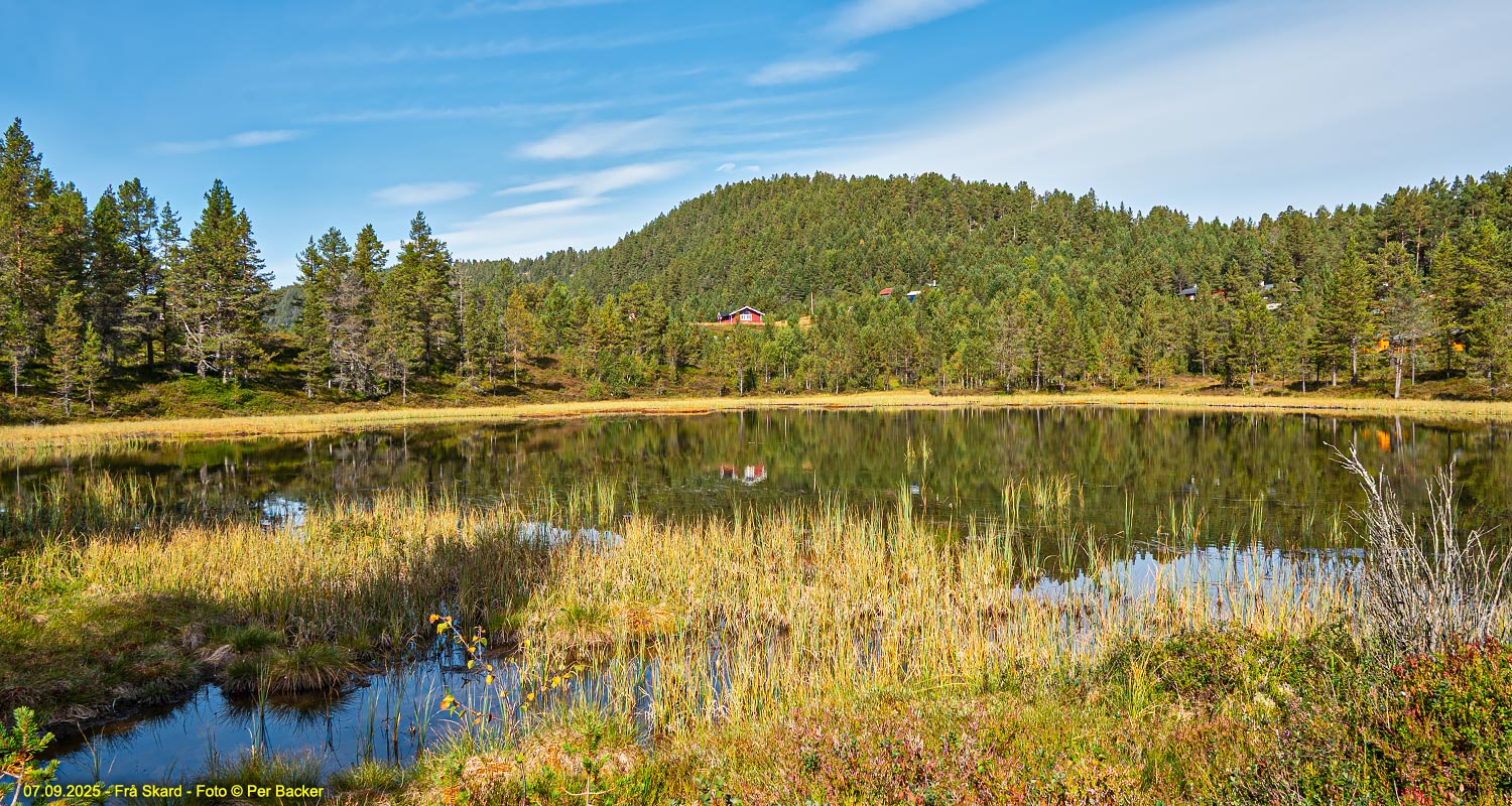 Frå Skard