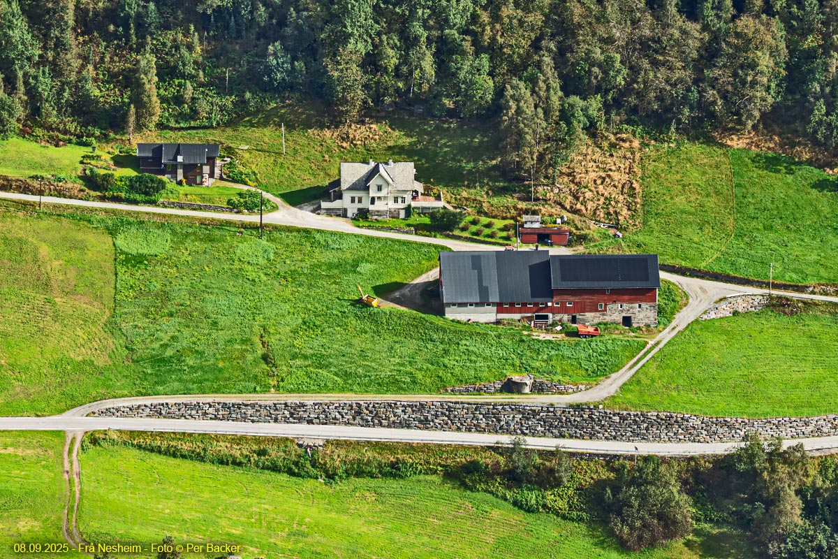 Frå Nesheim