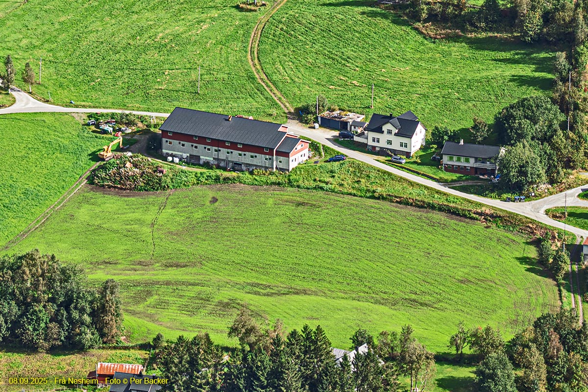 Frå Nesheim