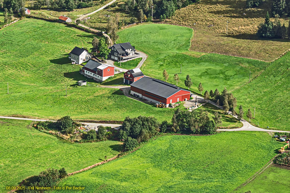 Frå Nesheim