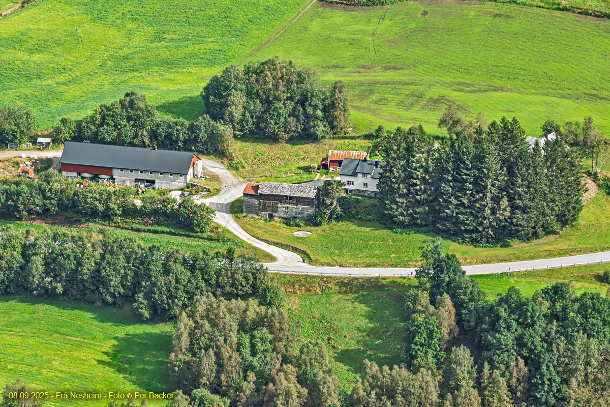 Frå Nesheim
