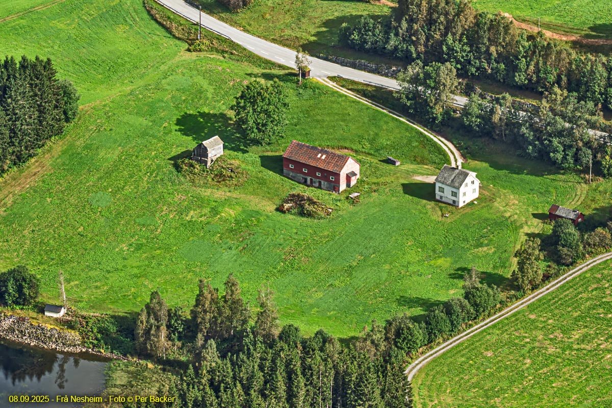Frå Nesheim