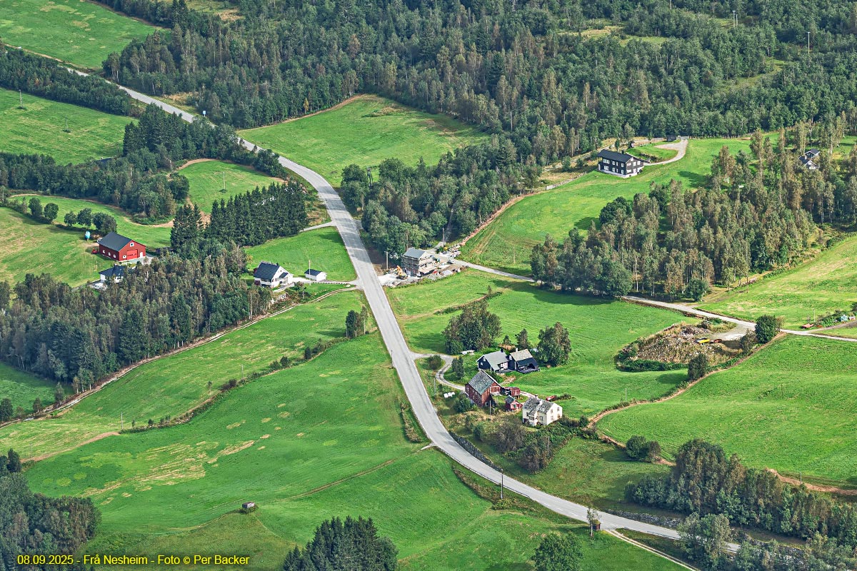 Frå Nesheim