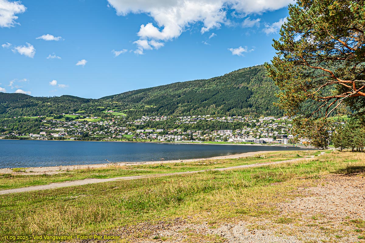 Ved Vangsvatnet