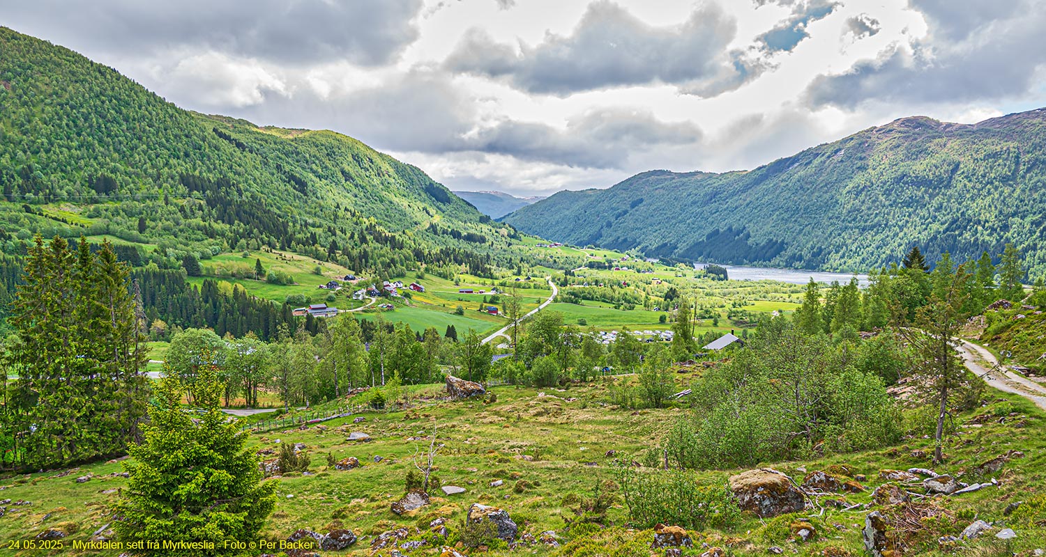 Myrkdalen sett frå Mørkveslia