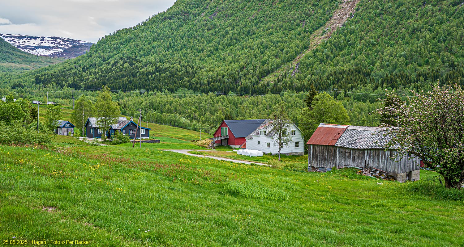 Hagen