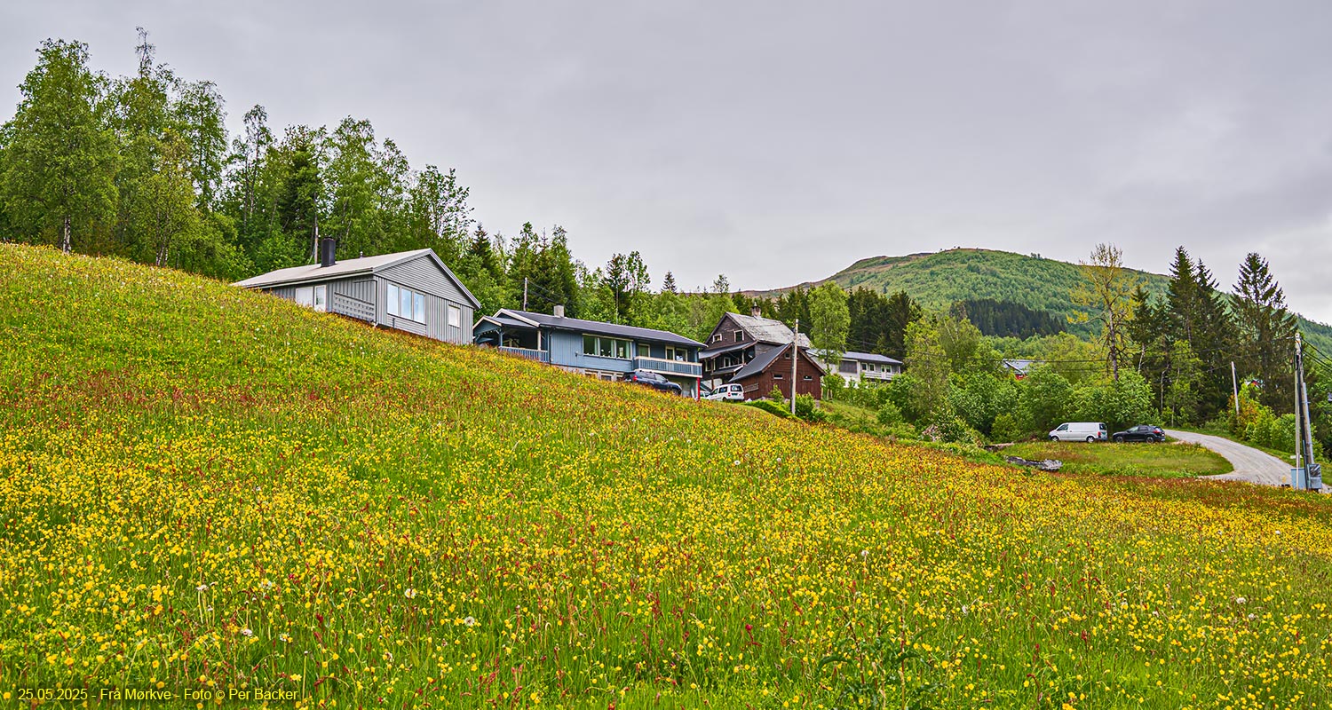 Frå Mørkve