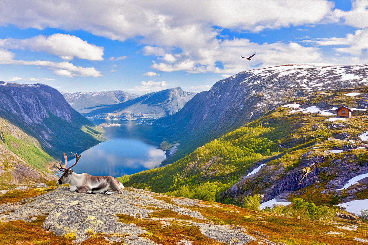Fjordlandskap (KI)