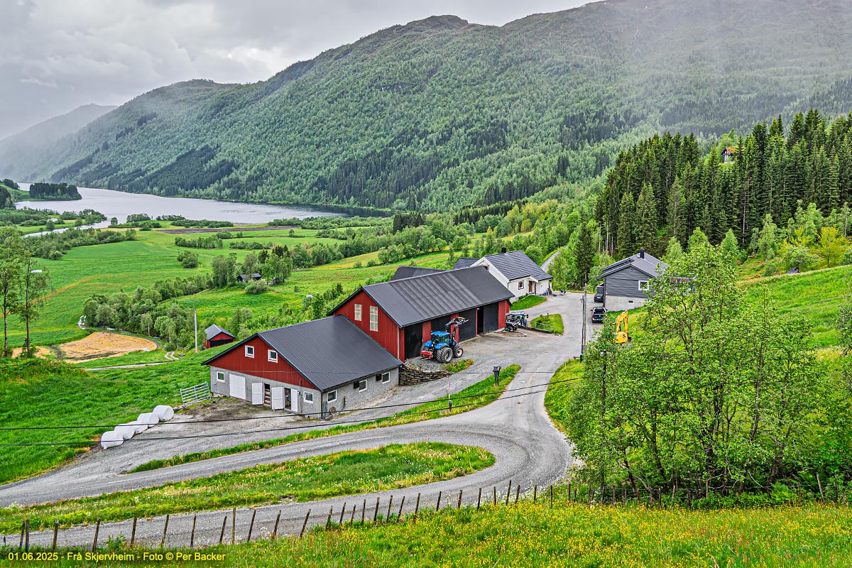 Frå Skjervheim