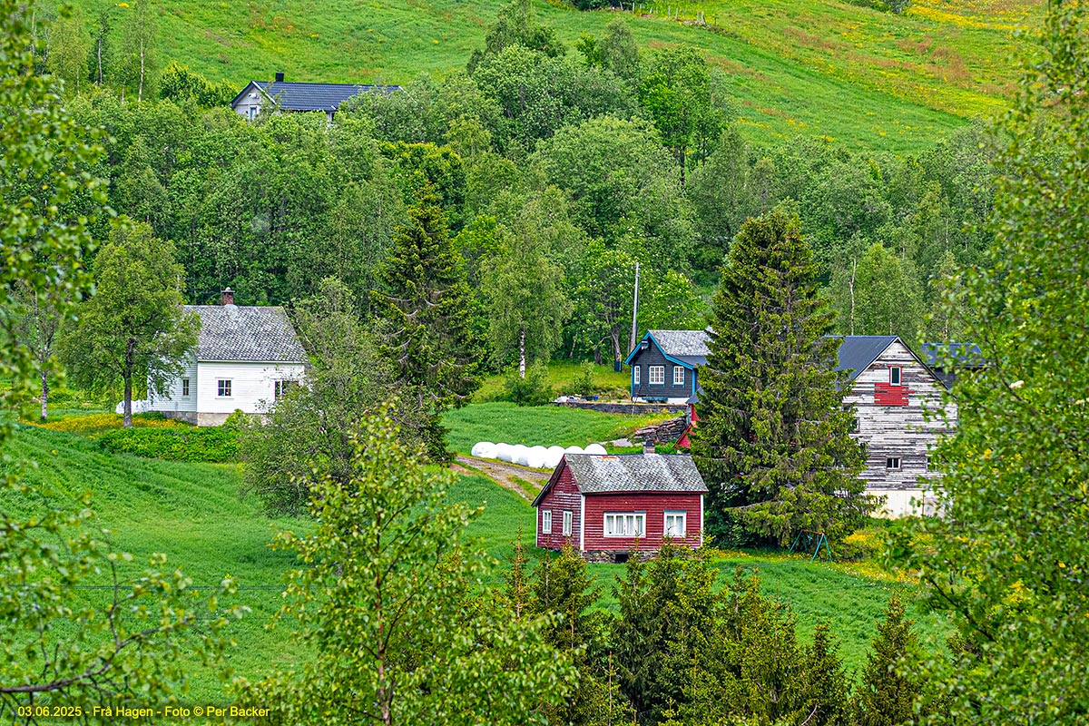 Frå Hagen