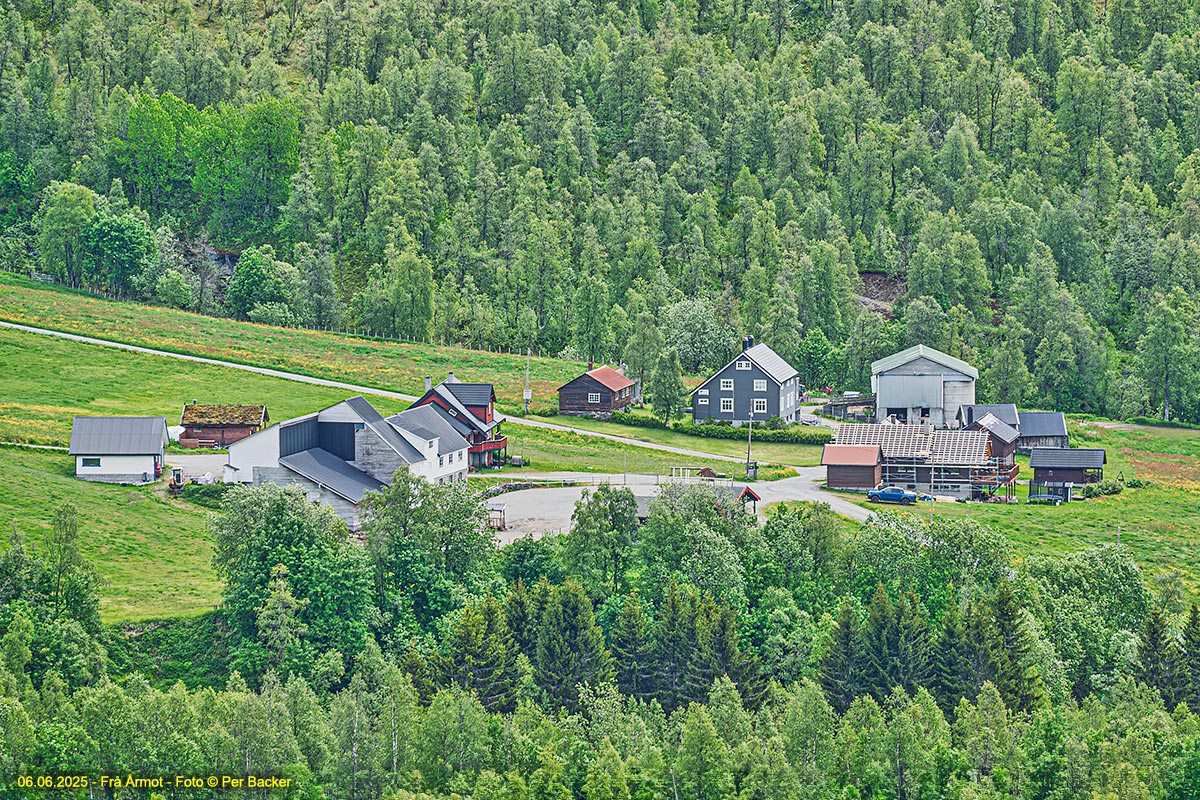 Årmot