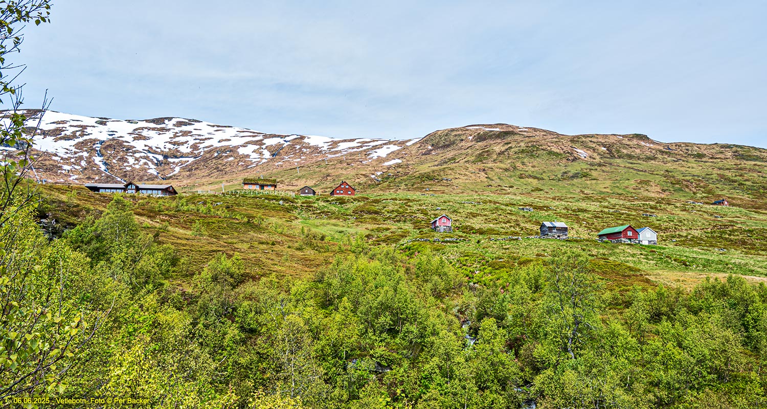Vetlebotn