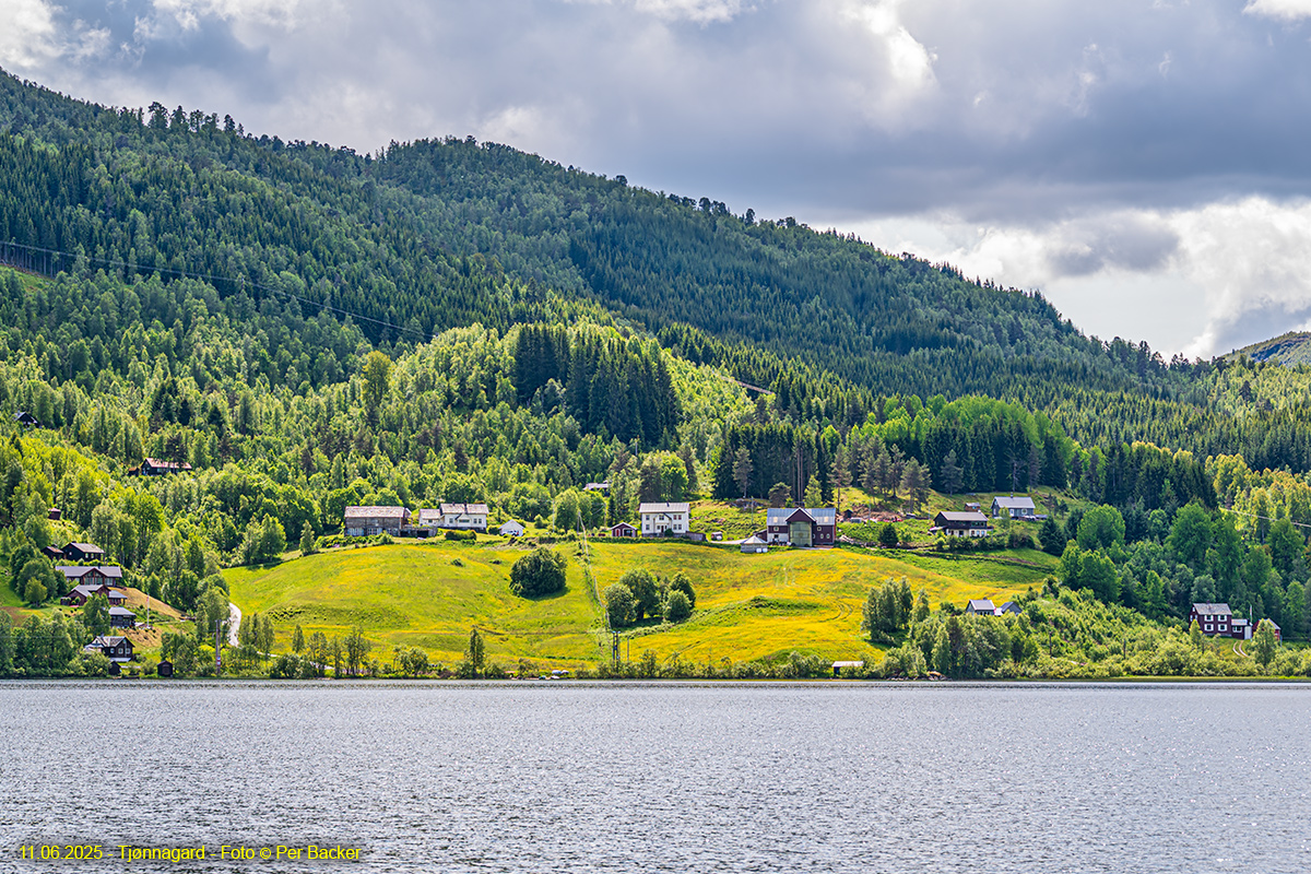Tjønnagard