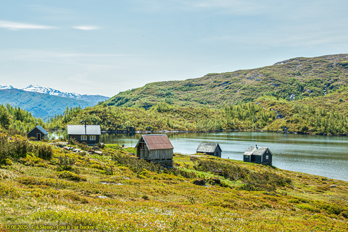 Frå Skreio