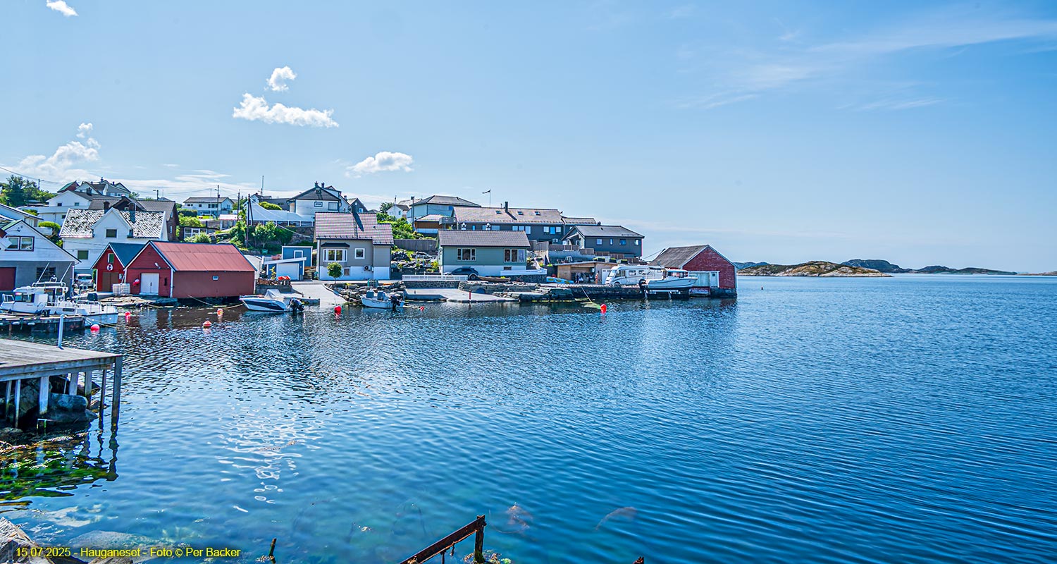 Hauganeset