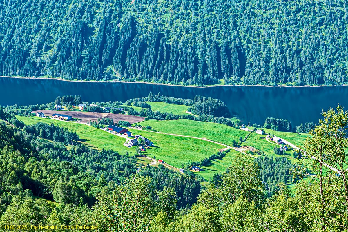 Frå Nesheim