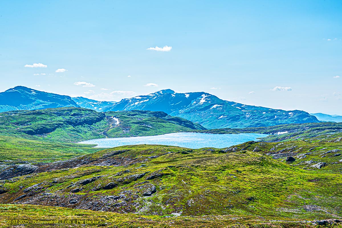 Buførevatnet