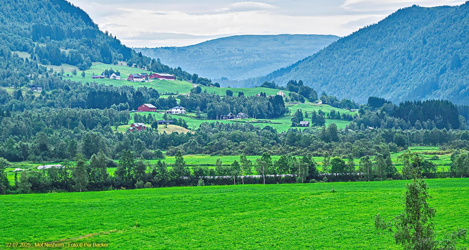Frå Nesheim