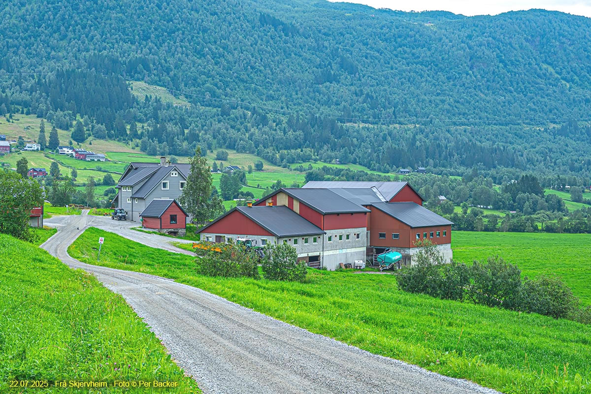 Frå Skjervheim