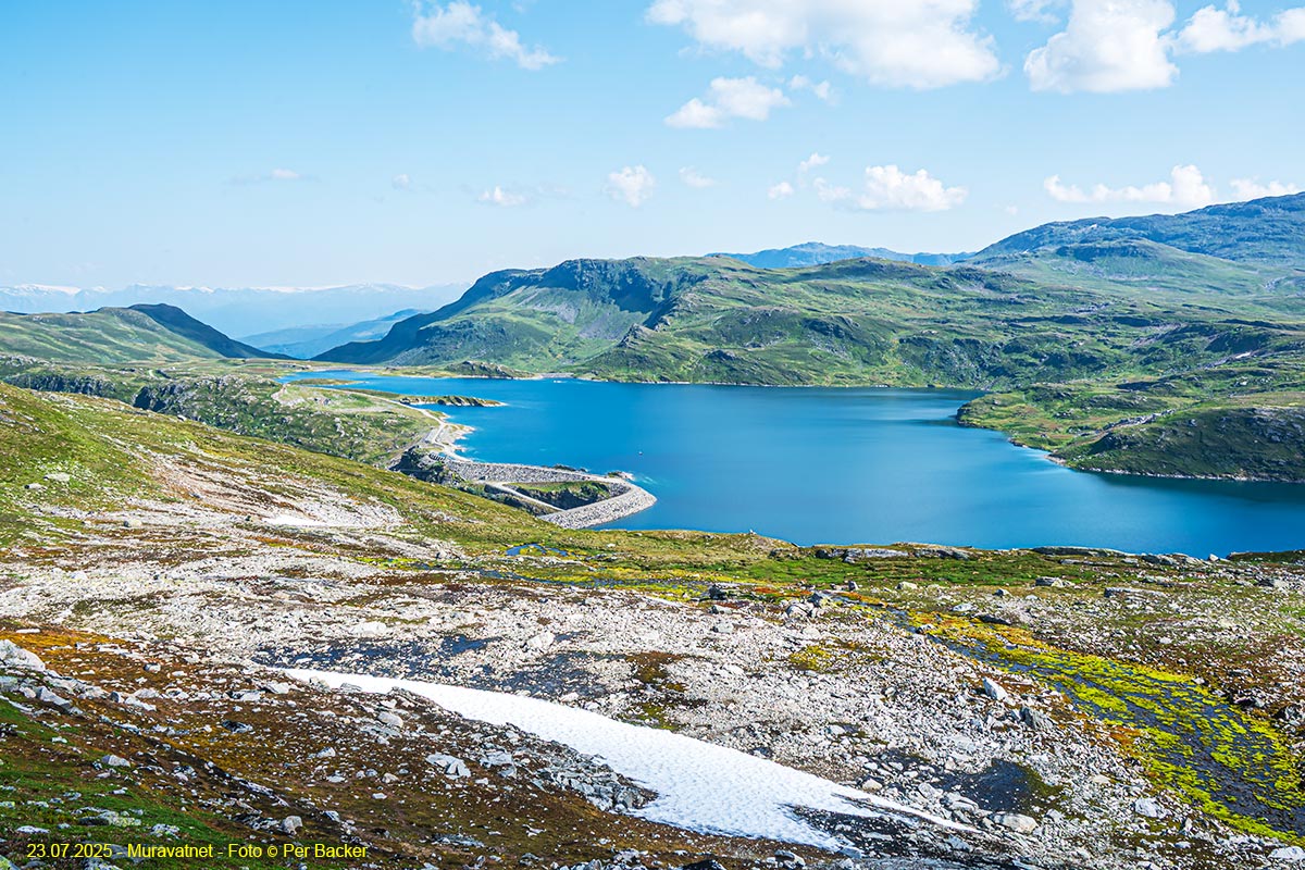 Muravatnet