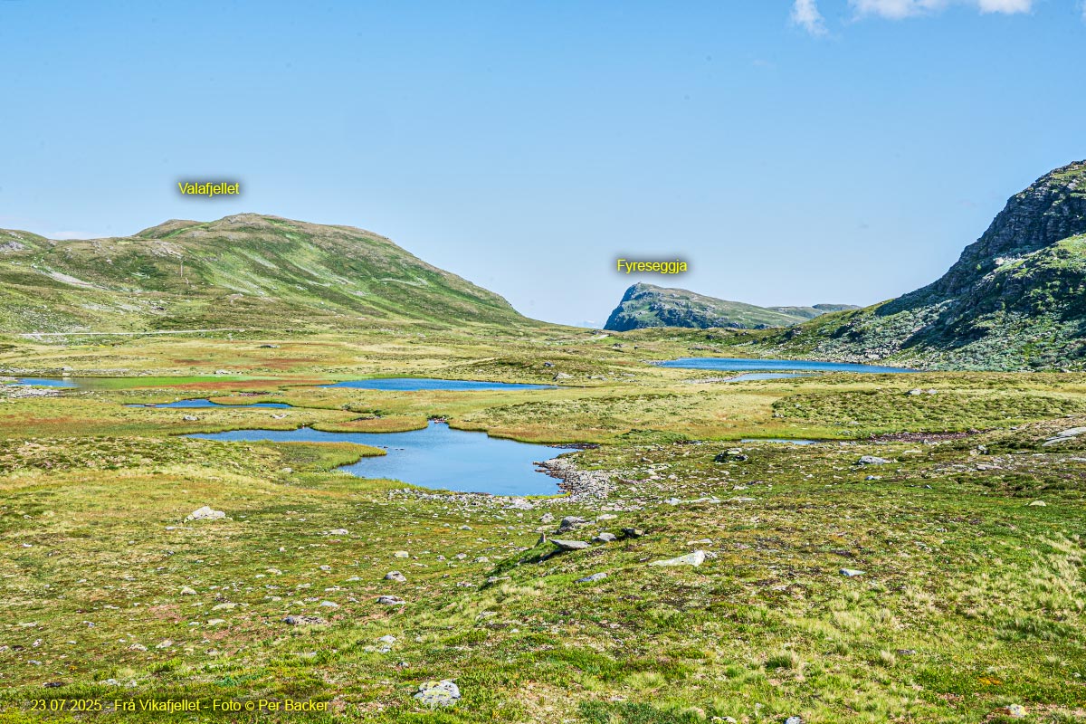 Frå Vikafjellet
