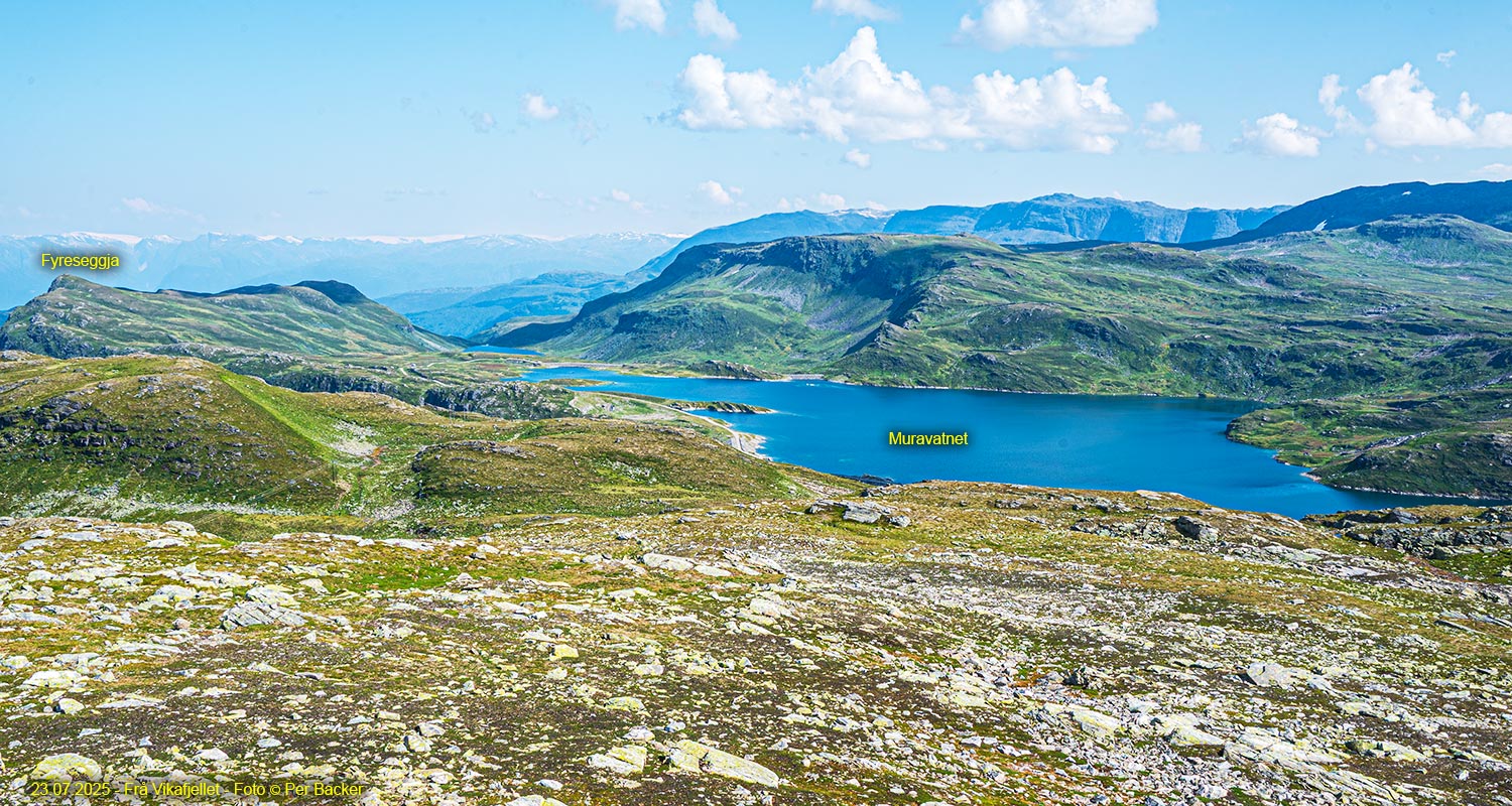Frå Vikafjellet