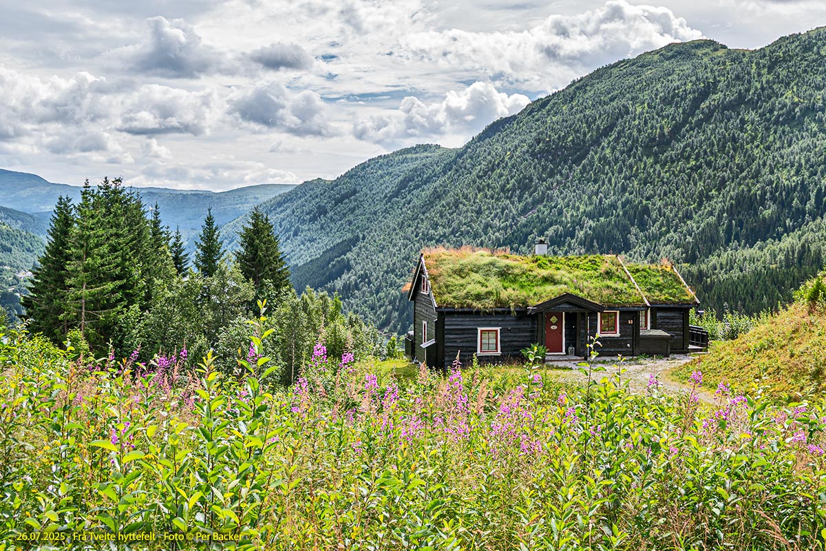 Frå Tveite hyttefelt