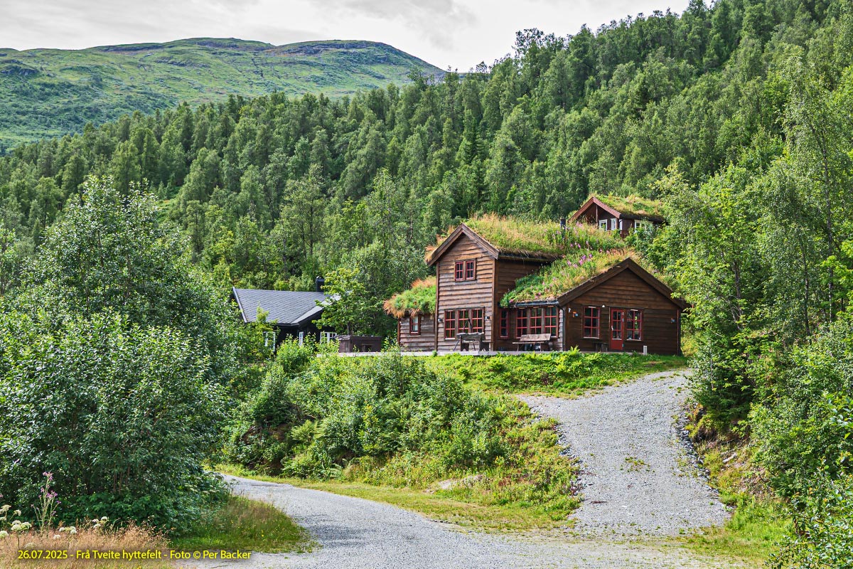 Frå Tveite hyttefelt