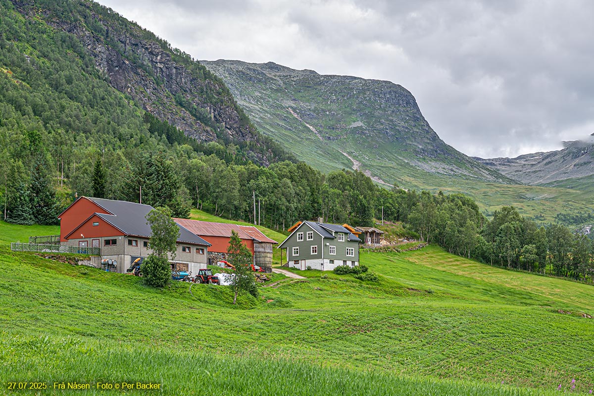 Frå Nåsen