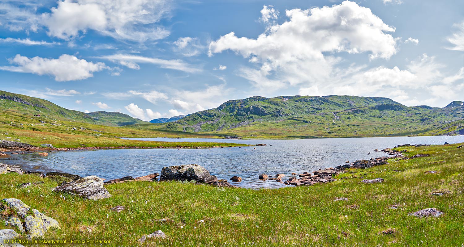 Dueskardvatnet