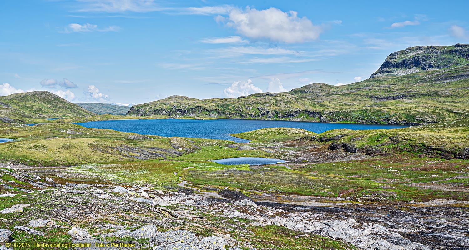 Hestavatnet og Fossfjellet